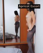 Проститутка Melody